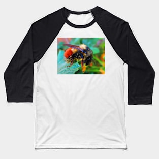 Bumble Bee . Baseball T-Shirt